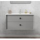 FH 900x450x550mm Grey Wall Hung Plywood Vanity with Ceramic Basin